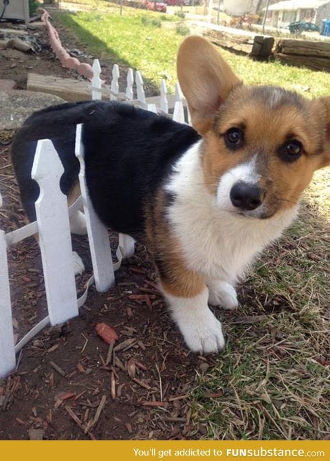 He got stuck