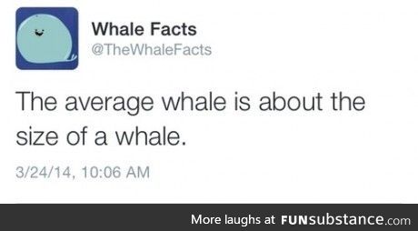 Fun Fact: #6