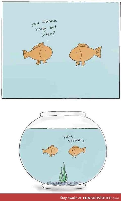 Best friends be like.