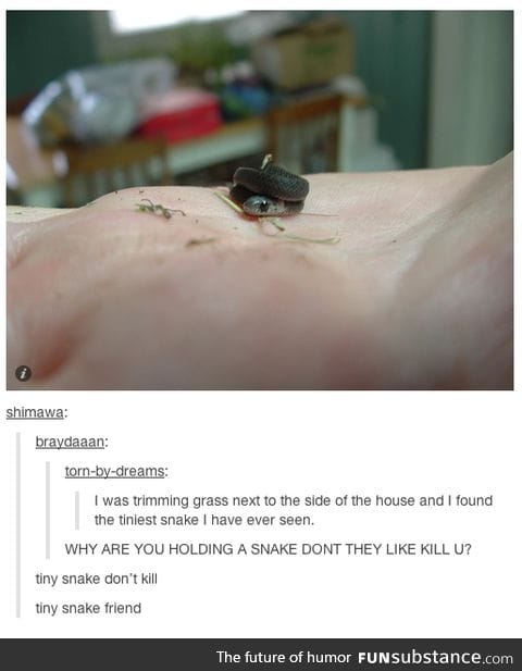 awwww lil baby snake :3