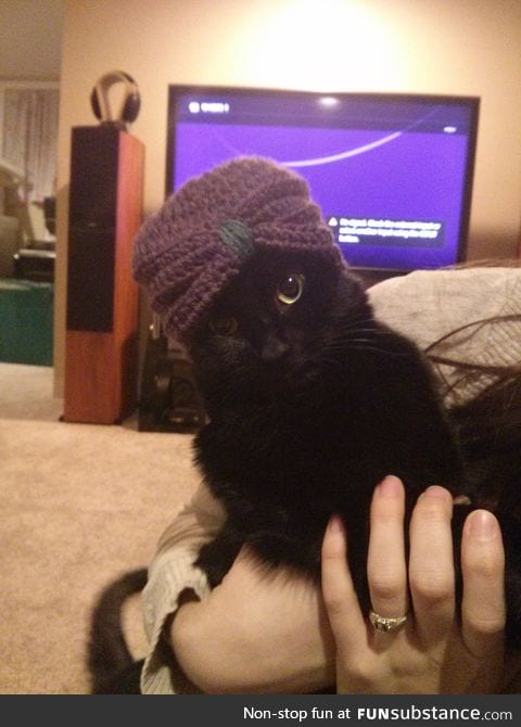 I made a tiny turban for a friend's baby, tried it out on the cat first