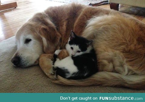 Friendship knows no bounds
