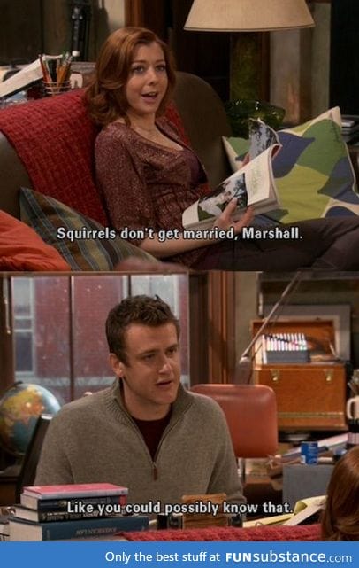 Squirrels
