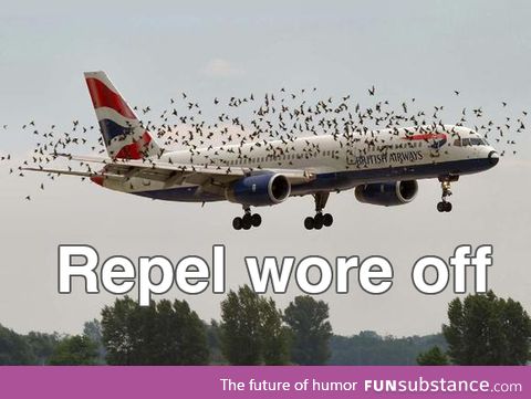 f*ckin zubats