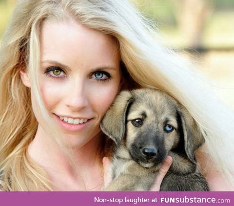 Beautiful heterochromia
