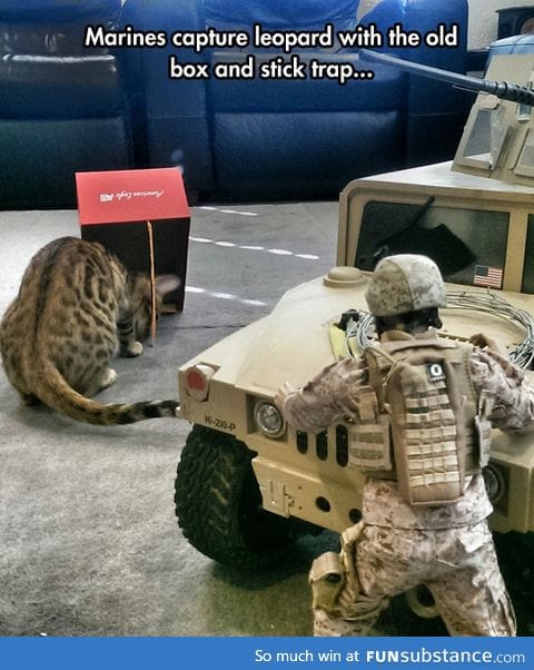 He Was Thinking 'Today is Pawssibly The Best Day Ever'