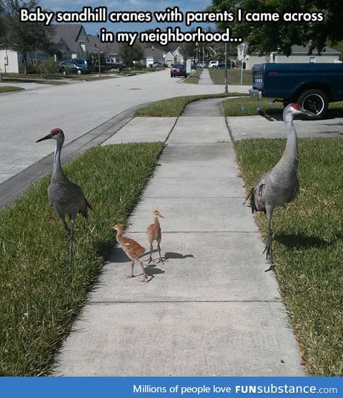There goes the neighborhood