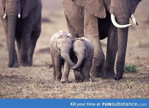 Holding trunks :)