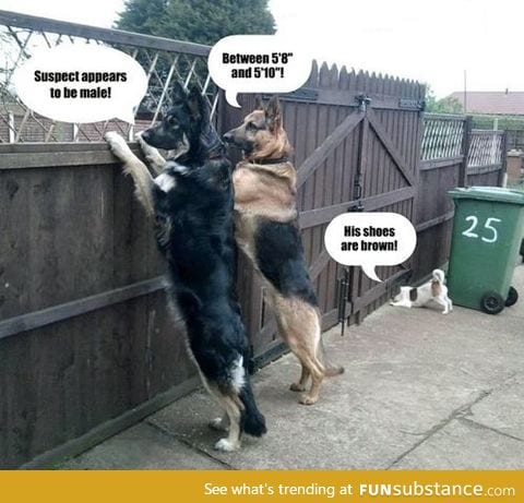 Neighborhood watch