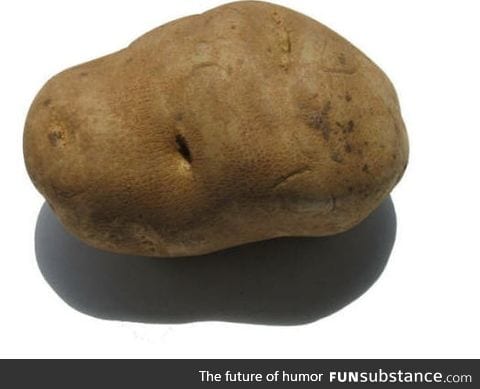 Potato