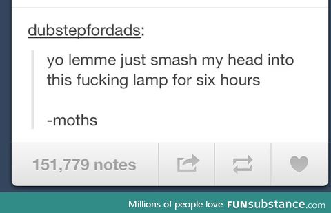 Moth logic