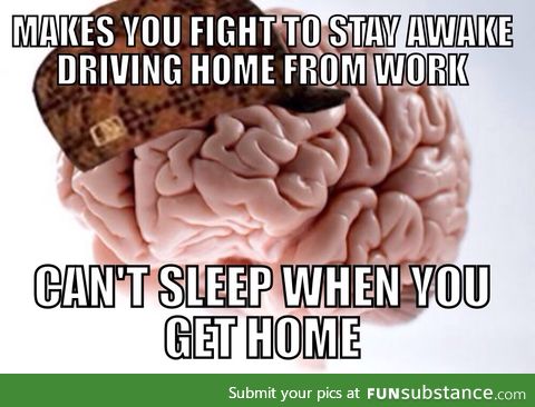 Seriously, wtf brain!