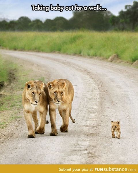 Look at how proud they are