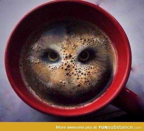 After having two hula hoop crisps dropped in it, this coffee looks like an owl