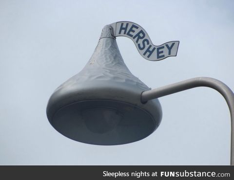 I'm from Hershey, PA. These are our street lamps