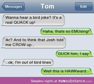 Bird Jokes