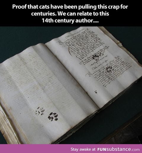 Cats have always been jerks