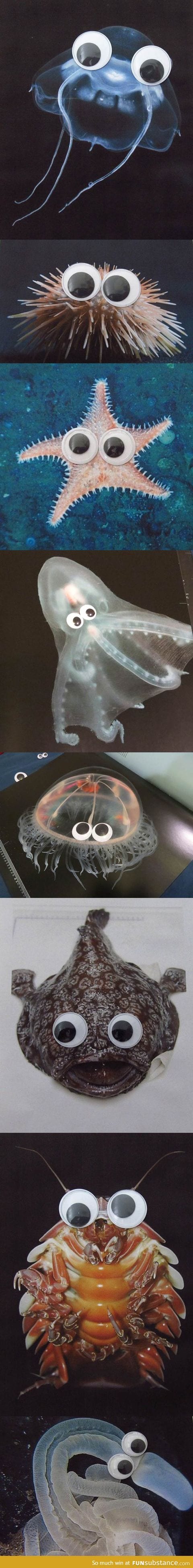 Deep Sea Fauna… with Googly Eyes