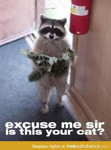 Excuse me, sir?