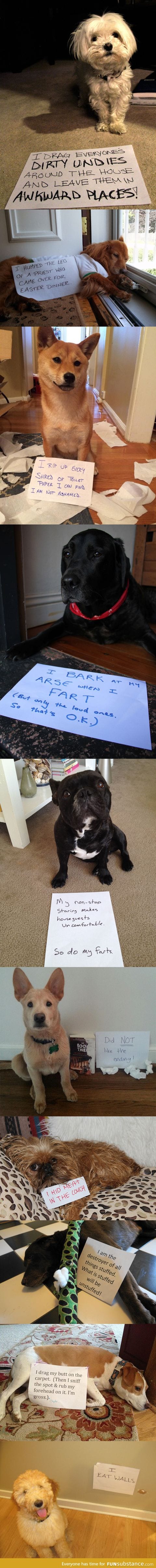 Dogs behaving badly...