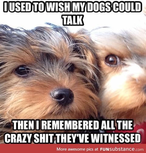 Everyone with pets understands this