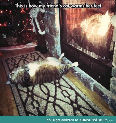 How everybody feels after christmas dinner