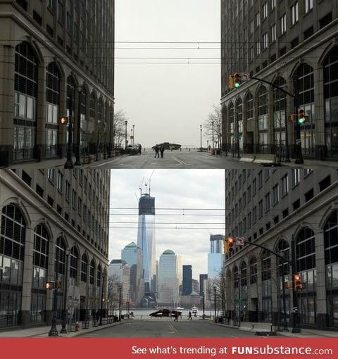 Fog (Before & After)