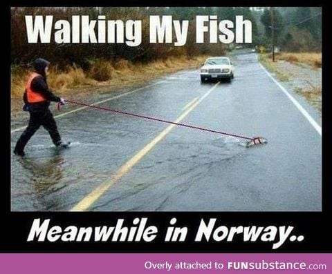 Meanwhile in Norway...