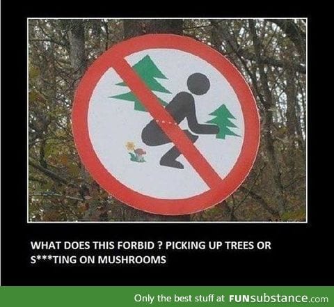 Do not pick the trees!