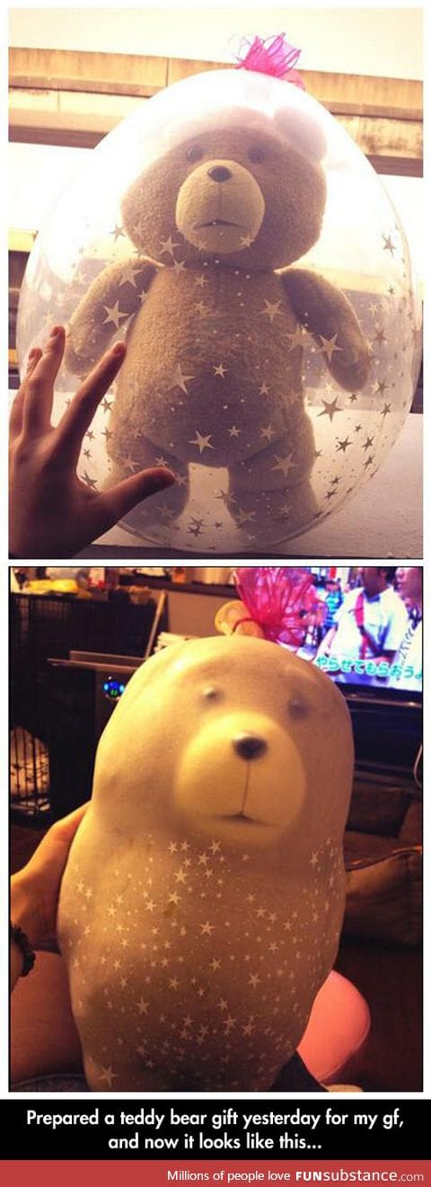 Teddy got stuck in a balloon