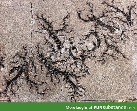 Sidewalk Struck by Lightning