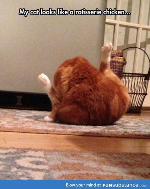He lost his leg in nom