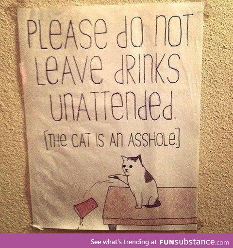 Careful...Dude's cat is a bit of an arse