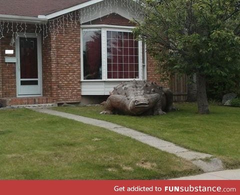 So my neighbour got a new front lawn decoration