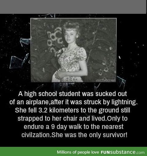 Plane crash survivor