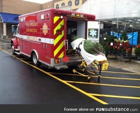 Fire department with a sense of humor picking up their Christmas tree.