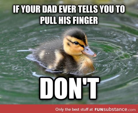 Actual advice duckling