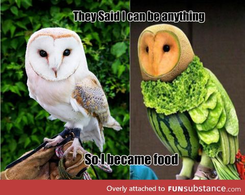 They said I can be anything