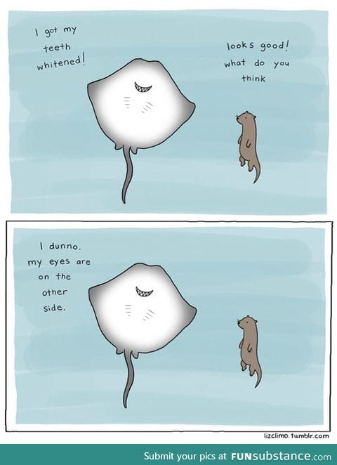 Ray problems