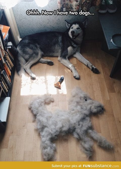 He had a dog under his fur