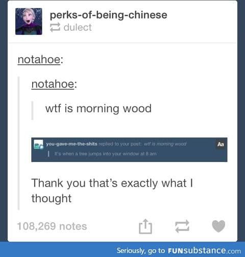 The sassy side of tumblr
