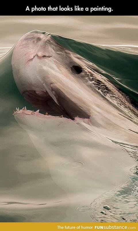 Incredible painting skills