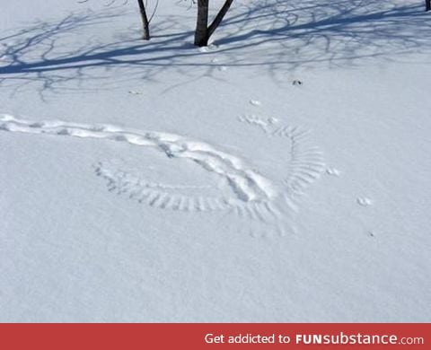 Poor Little Bunny :(