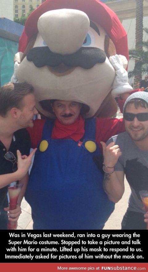 Mario Disguised as Mario