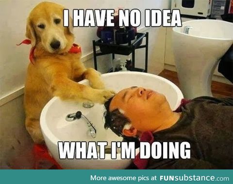 As a girl who never styled their hair who just bought a curling iron