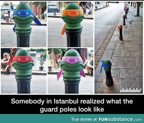 Ninja poles