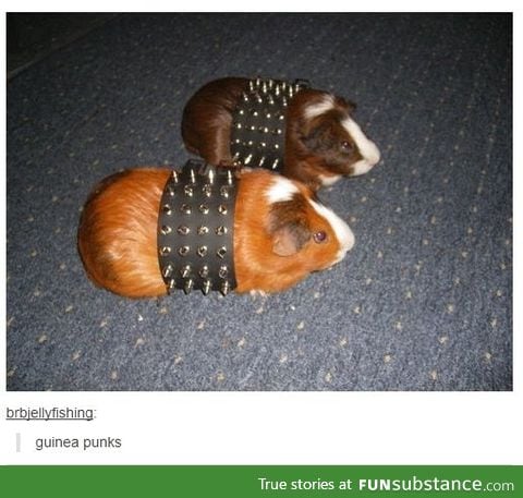 Guinea