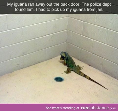 Freeing a Prisoner