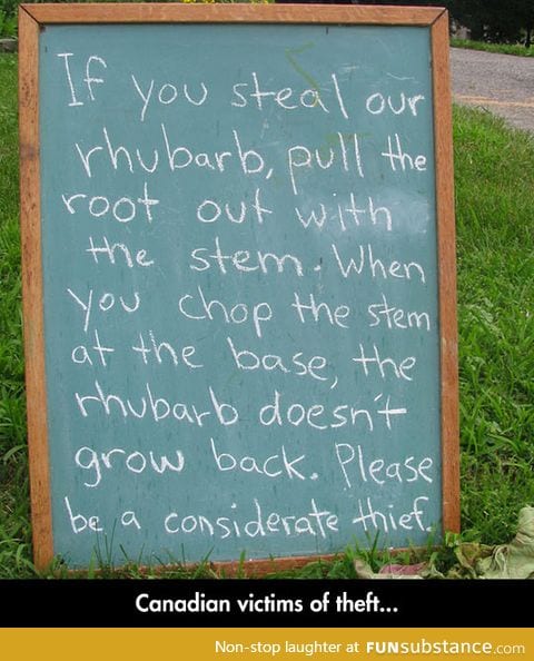 Be a Considerate Thief