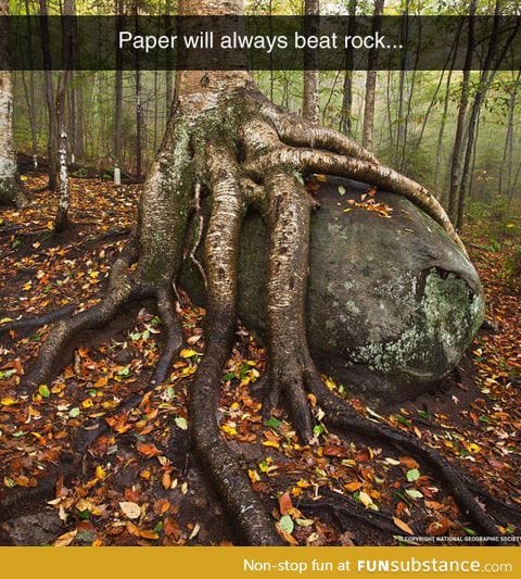 Paper beats rock